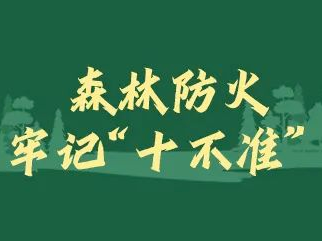 应急科普丨森林防火正当时，这些知识必须知道！