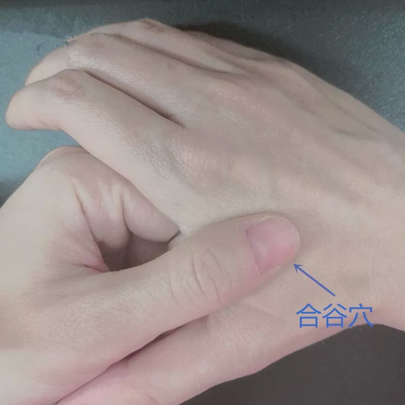 秋季常按6个“健康开关”，下火养肺排病气，越按身体越强壮