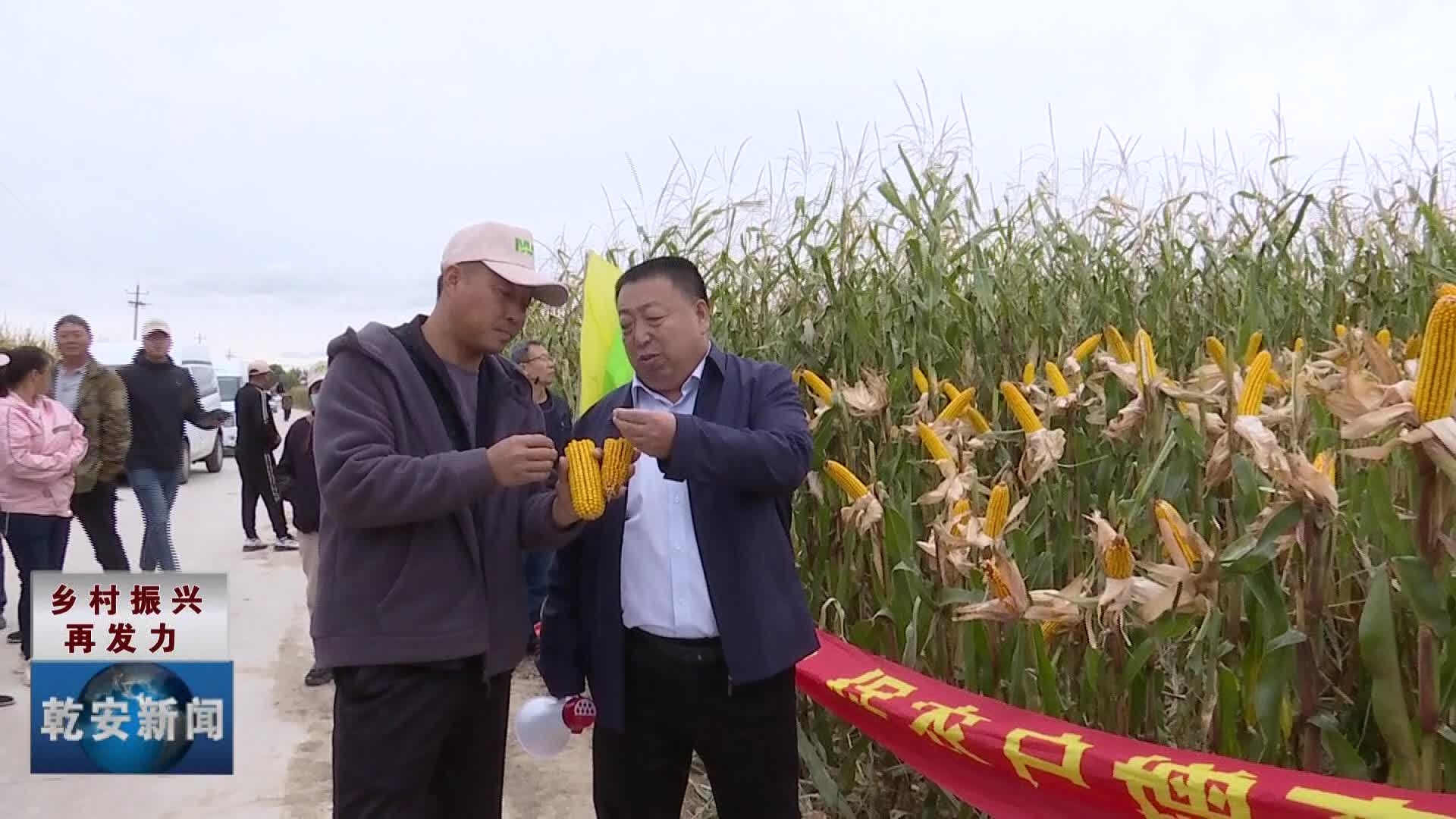 乾安县水字镇召开转变玉米种植模式提高单产扛稳粮食安全责任现场会