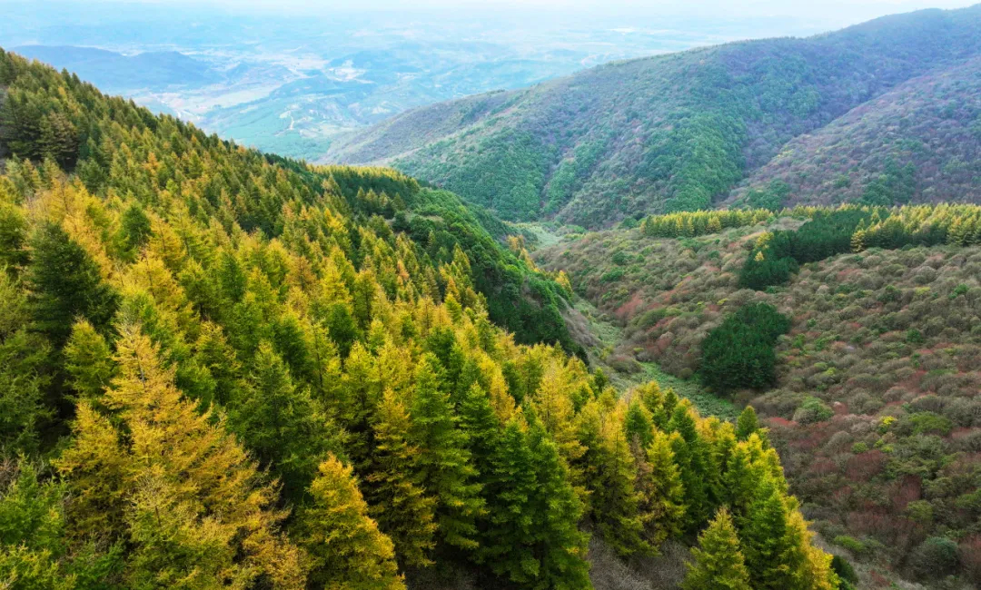 重阳节，登高处眺山川