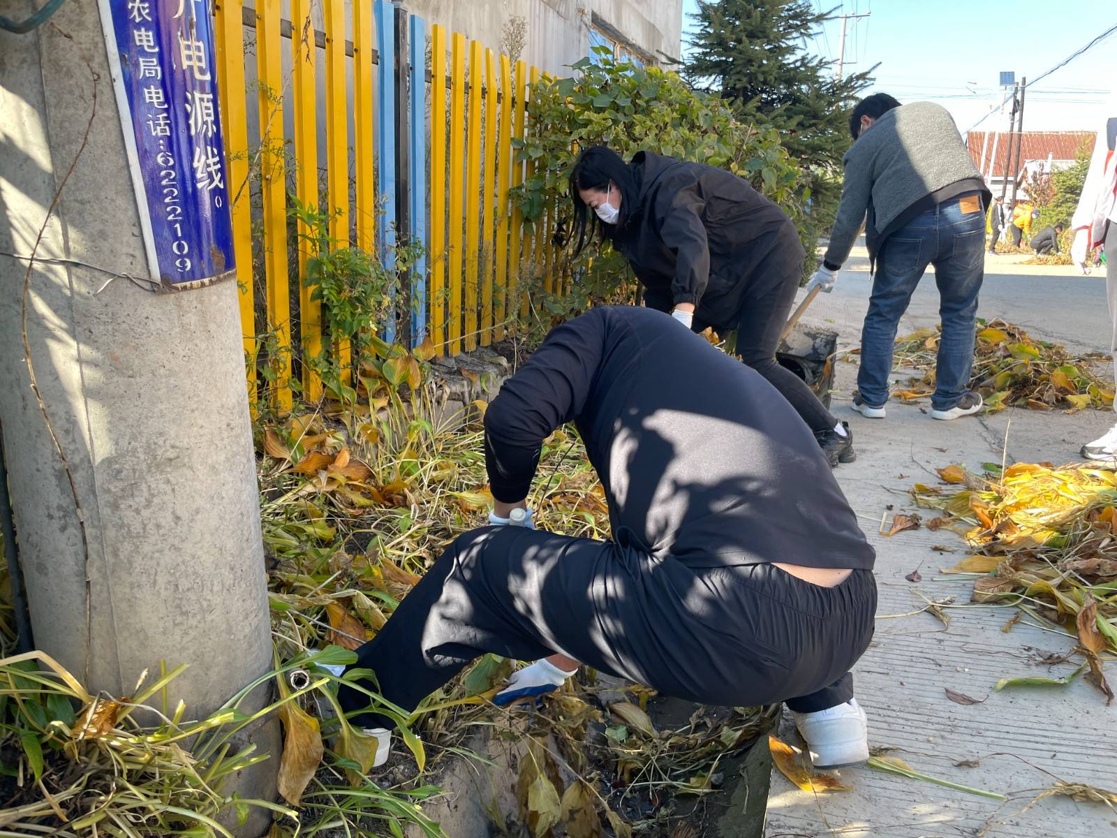 丹江街道开展“助力乡村振兴 共建美好家园”环境整治志愿服务活动