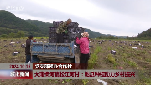 大蒲柴河镇松江河村：地瓜种植助力乡村振兴