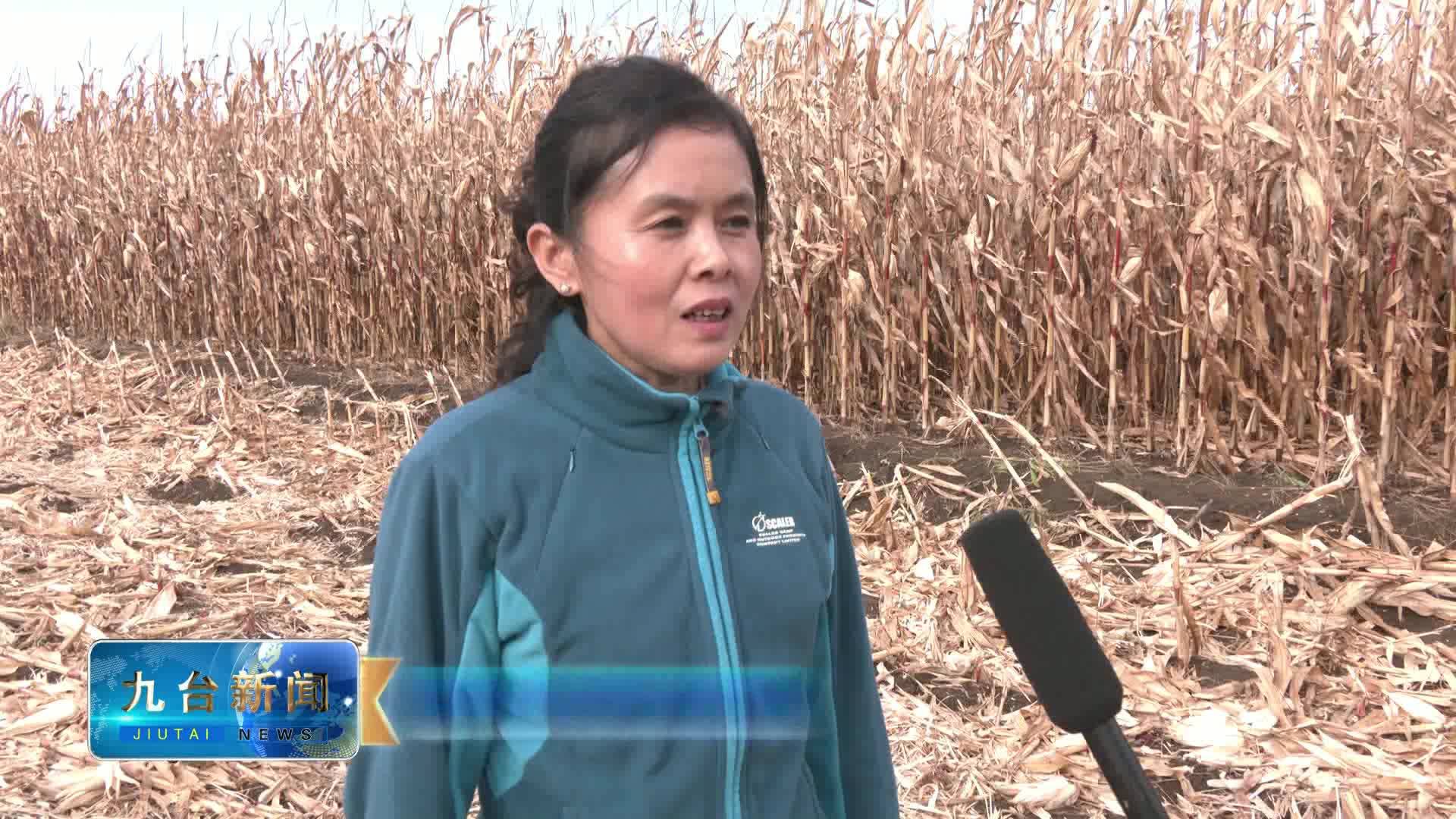 区农业技术推广中心正高级农艺师高春梅  就今年秋季粮食收储问题答记者问
