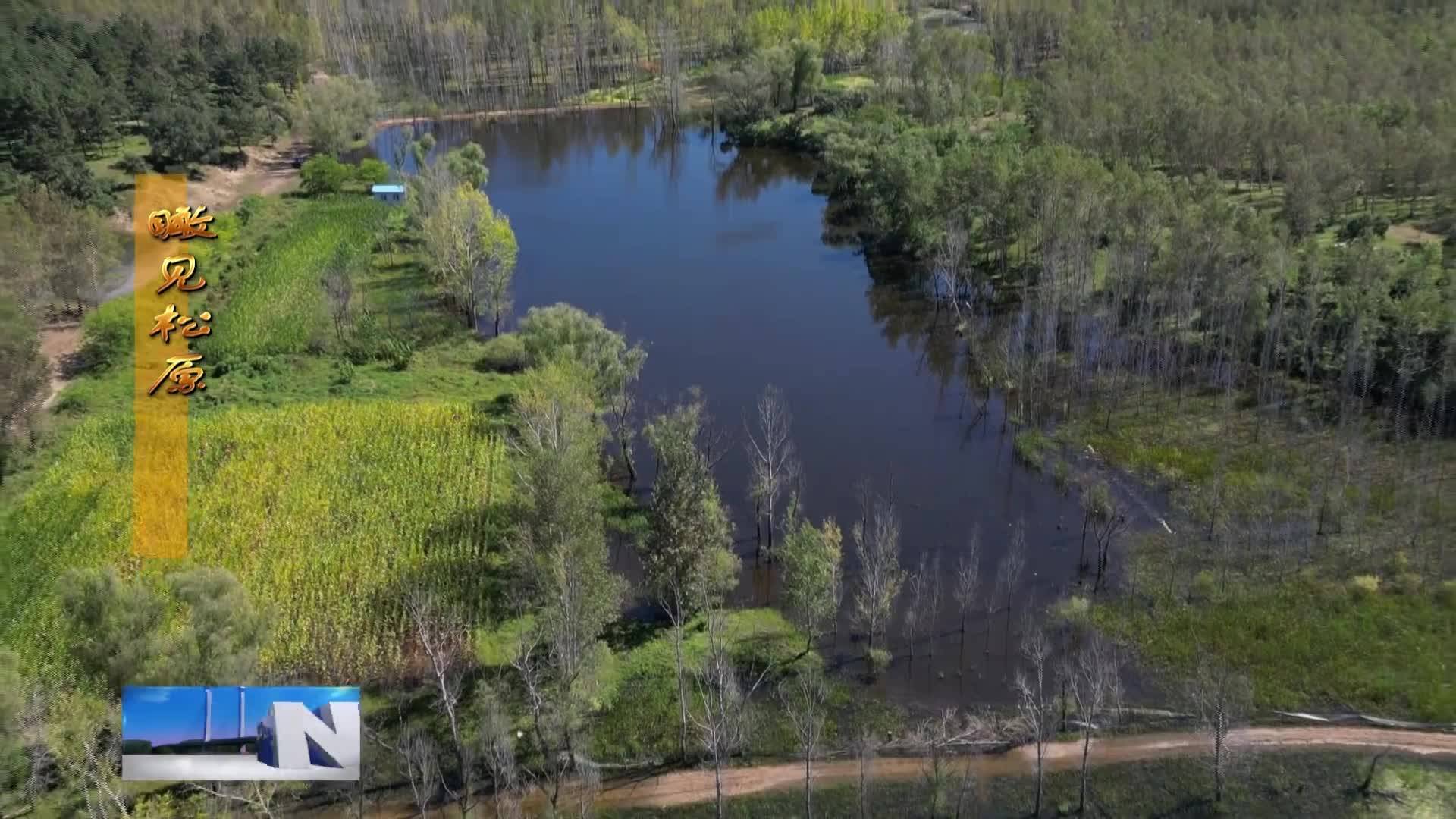 【瞰见松原】扶余市增盛镇：特产成“名片”“诗画”入景来