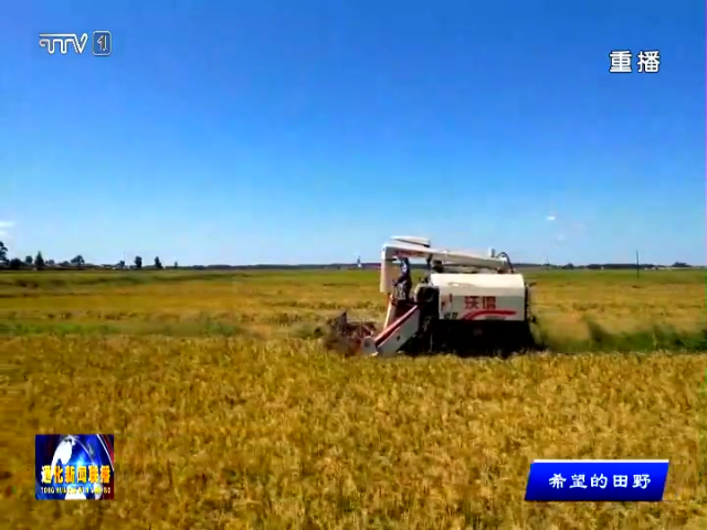 辉南县多措并举做保障 打造秋收好“丰”景