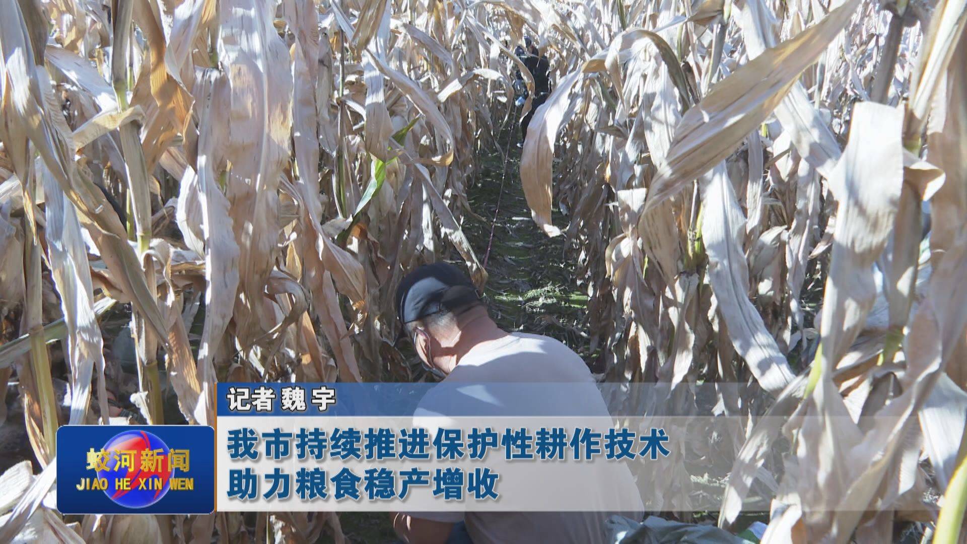 蛟河市持续推进保护性耕作技术助力粮食稳产增收