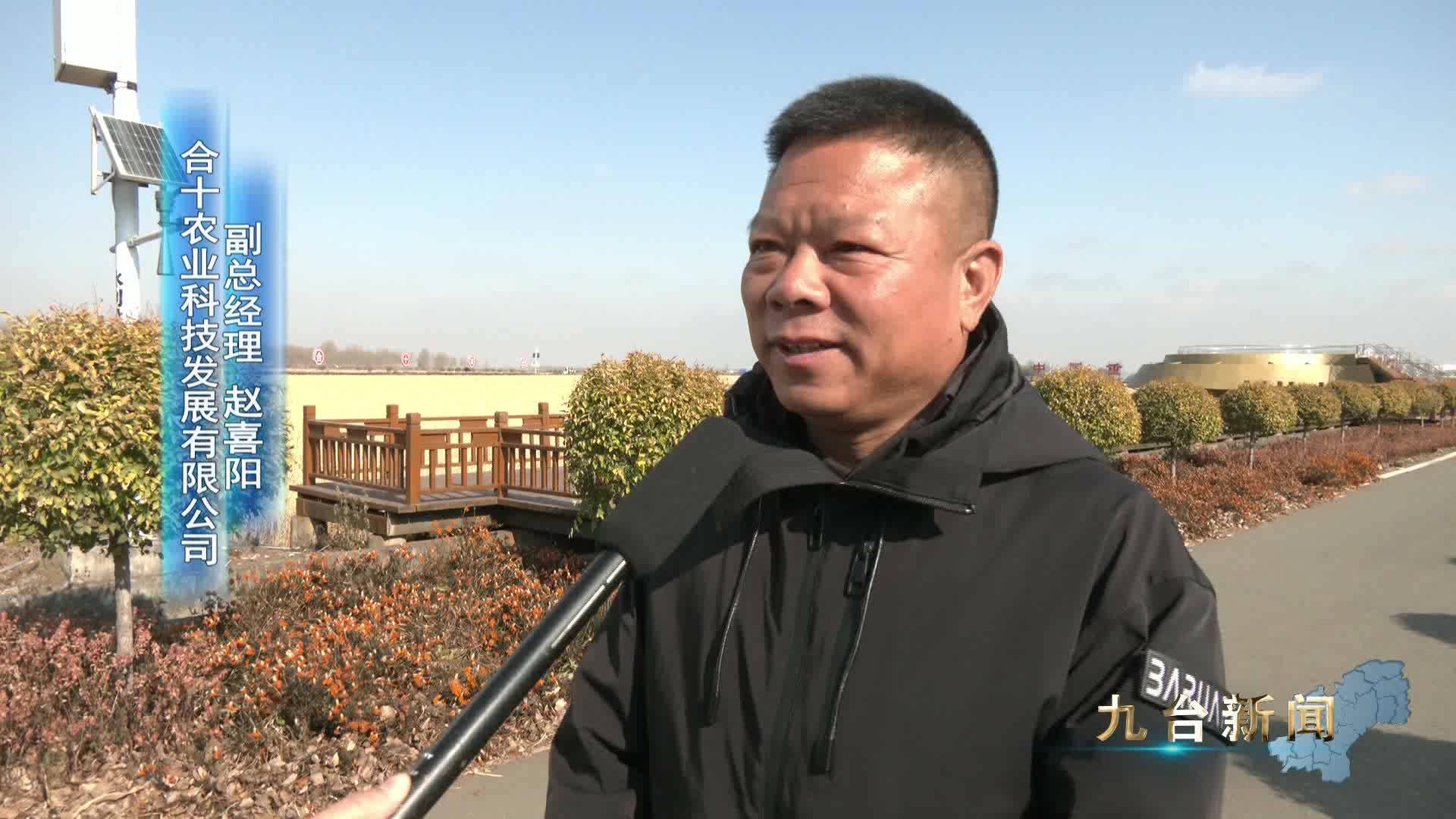 又“稻”一年丰收时 机械作业收割忙