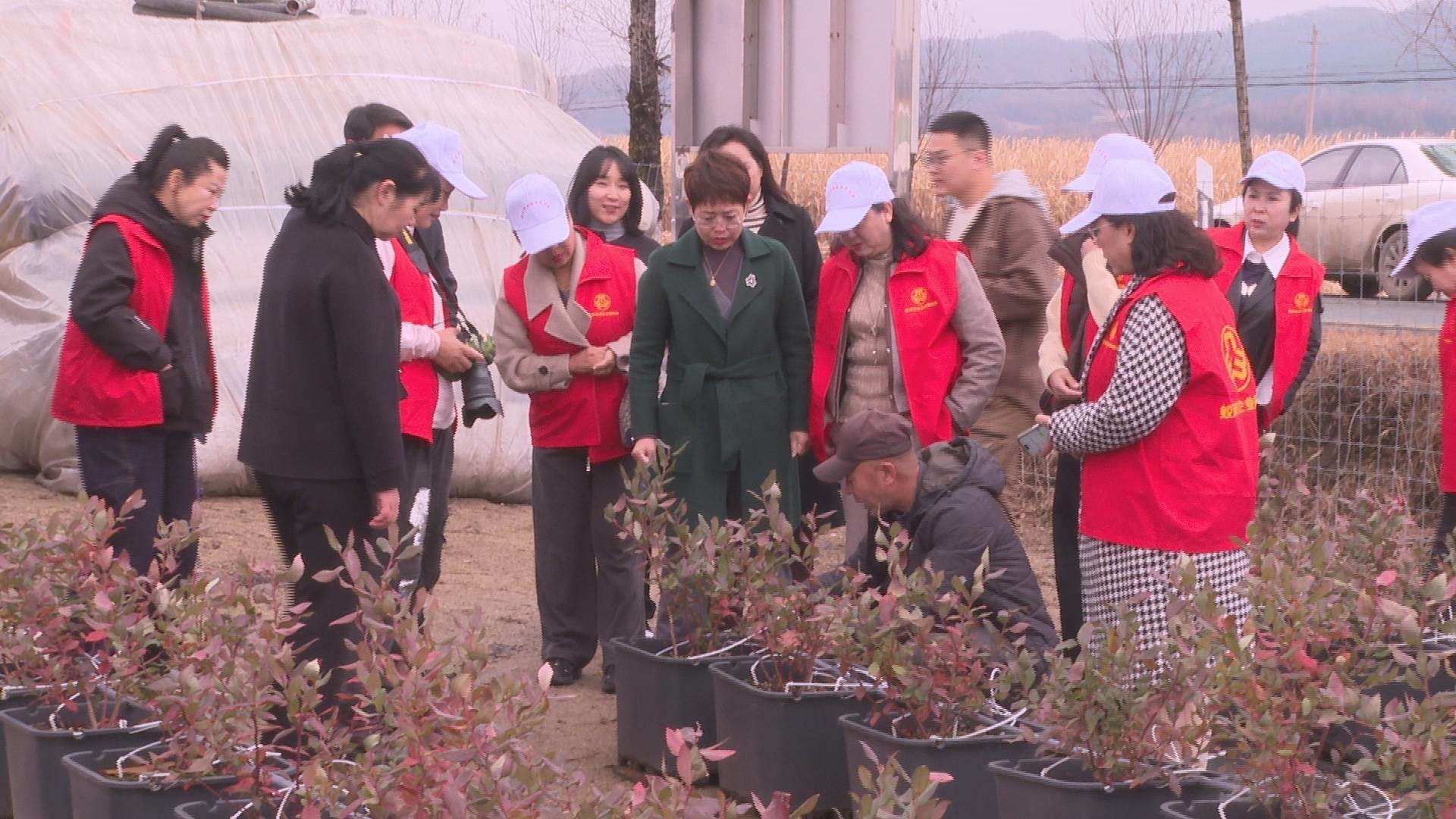 市妇联组织市女企业家协会到前进乡调研妇联工作