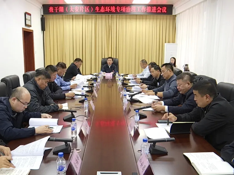 我市召开查干湖（大安片区）生态环境专项治理工作推进会议