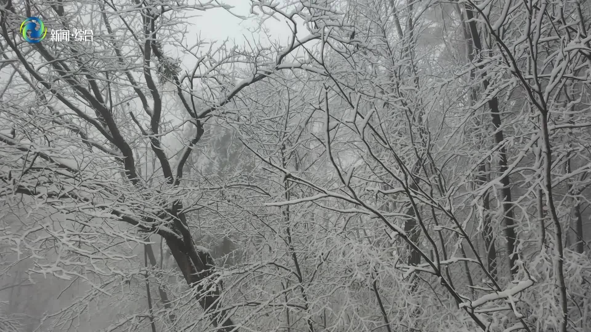 辉南县：三角龙湾雪景美如画