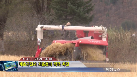 10月25日-배초구진서 가을걷이 적극 추진