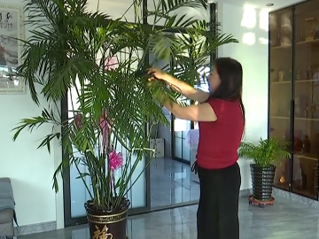 平湖街道：以庭院“小家美”擦亮乡村“生态美”