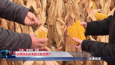 11月01日-苗期深松技术助力粮食增产