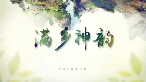【满乡神韵】《伊通守艺人》第三集《“音”韵满乡》——八音赫赫：白山黑水间的歌者