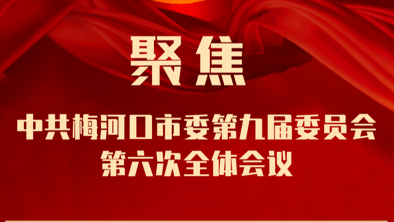 一图读懂丨中共梅河口市委九届六次全体会议《实施意见》