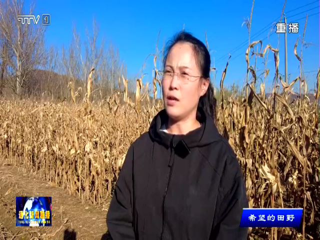 通化：良种良法良机齐发力 绘就秋粮丰收图景