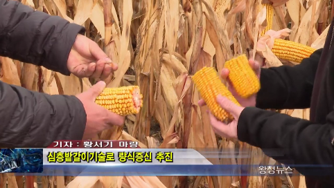 11月04日-심층밭갈이 기술로 량식증신 추진