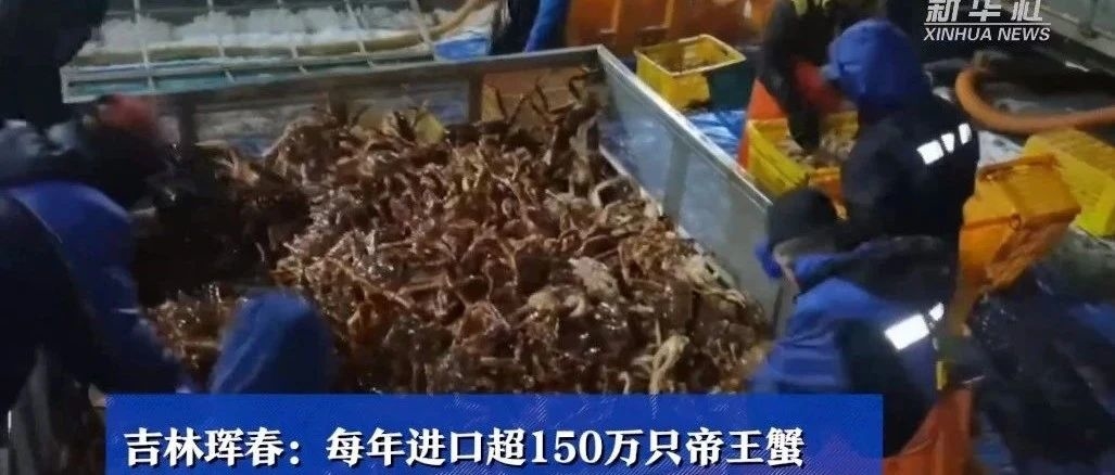 新华社：吉林珲春 每年进口超150万只帝王蟹