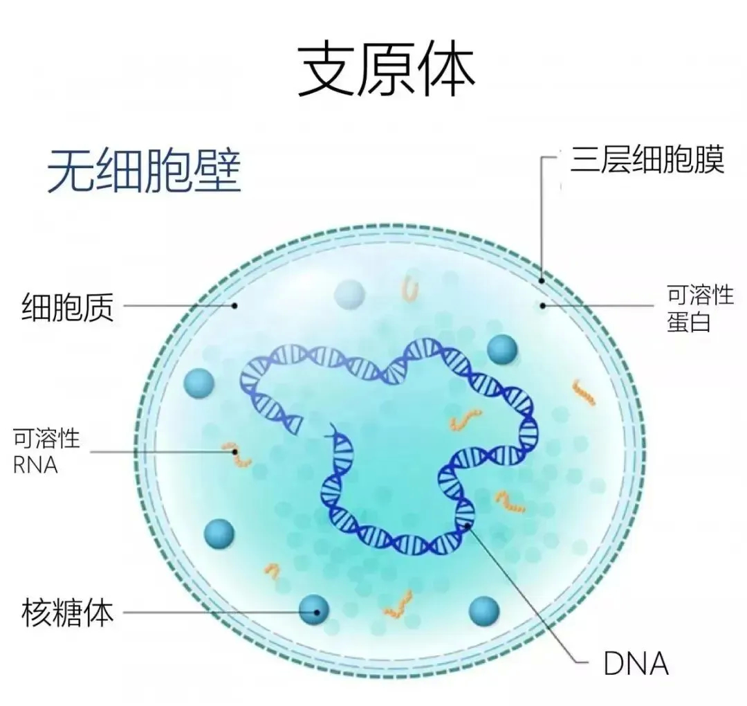 @长春人，孩子出现这些情况请及时就医……