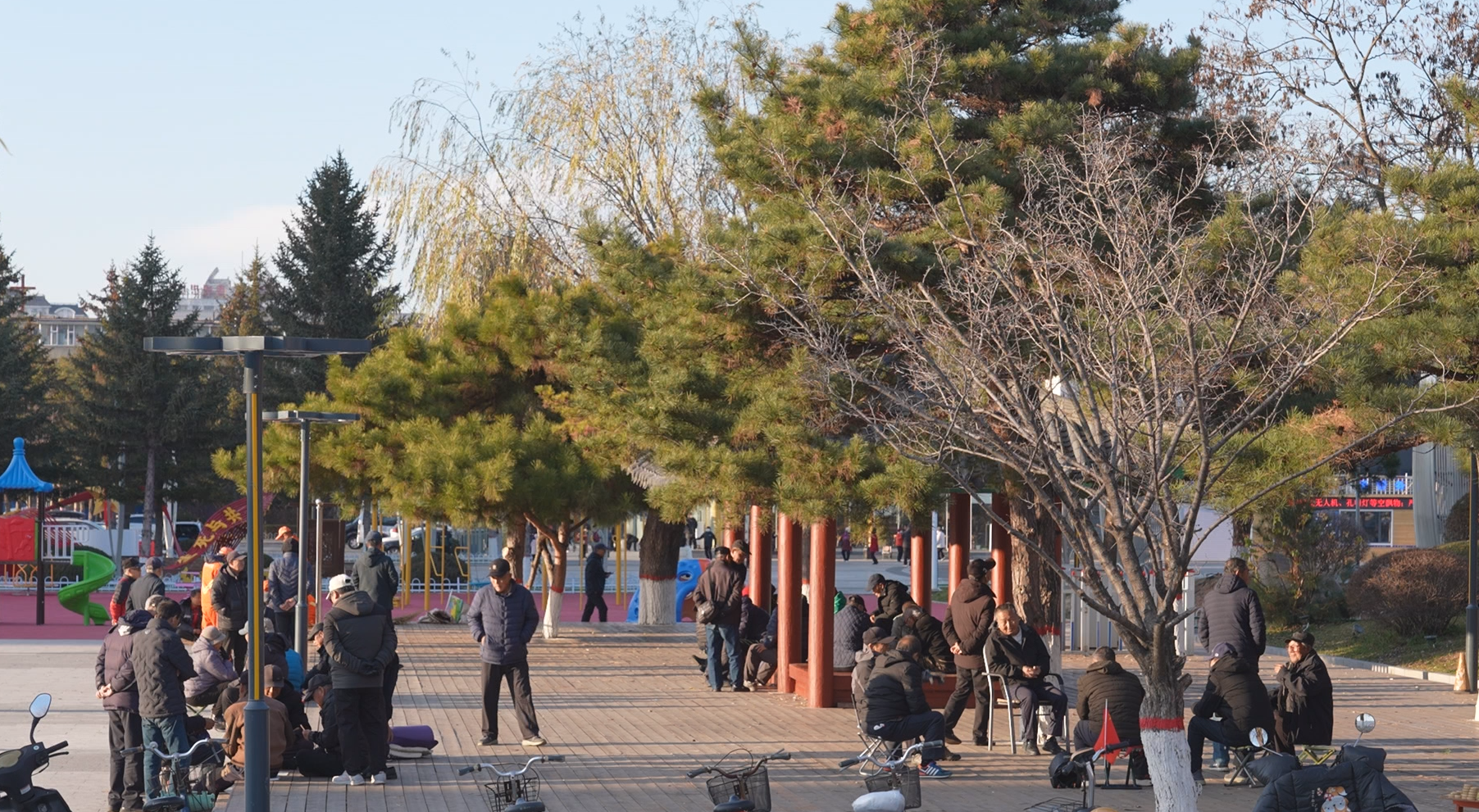 二十四节气——立 冬