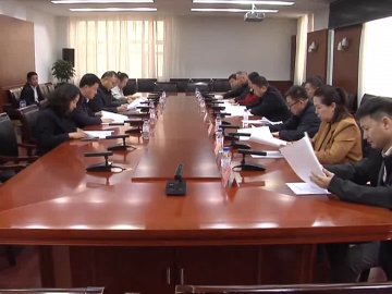 区人大常委会调研组调研我区代表建议办理情况