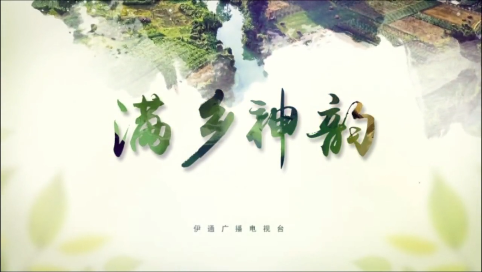【满乡神韵】《伊通守艺人》第四集《舞动青春之“花”》——唐雪：用花棍舞唤醒民族记忆