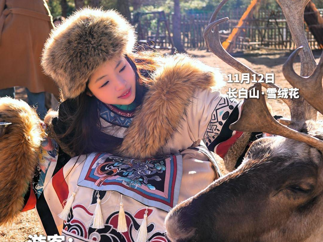 长白山新雪季 驯鹿来助阵！雪绒花20头驯鹿已就位！“在长白山与驯鹿共舞，拍照简直美翻了~ 快@你的搭子一起来玩吧！”