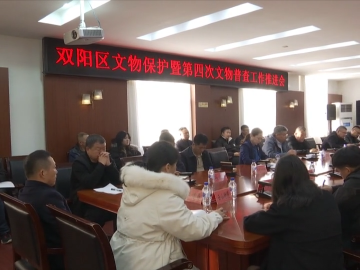双阳区文物保护暨第四次全国文物普查工作推进会召开