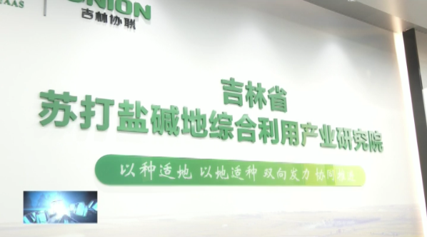 科企共建“吉林省苏打盐碱地综合利用产业研究院”