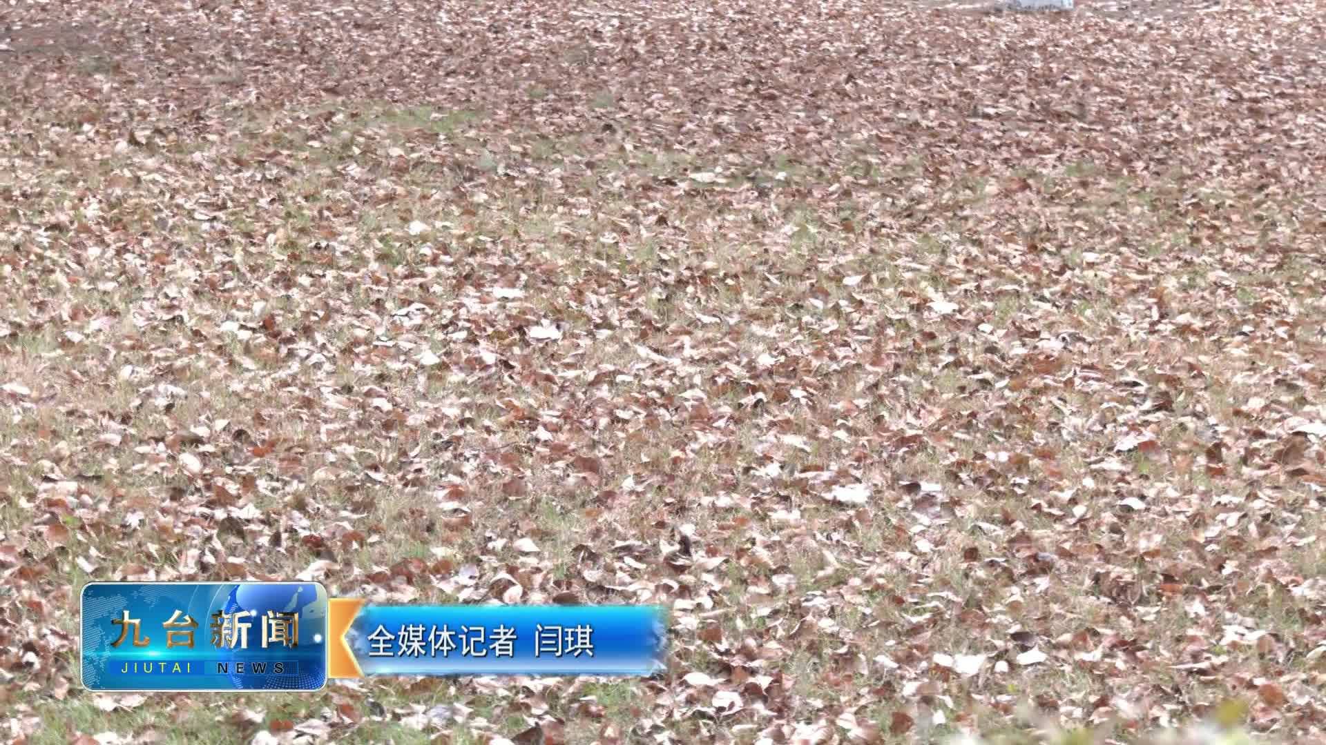 本周天气晴冷干燥 周五小雪节气到来