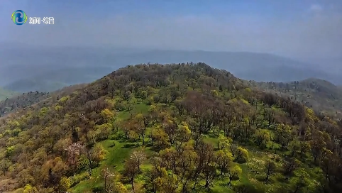 辉之春--石道河镇·西南岔村