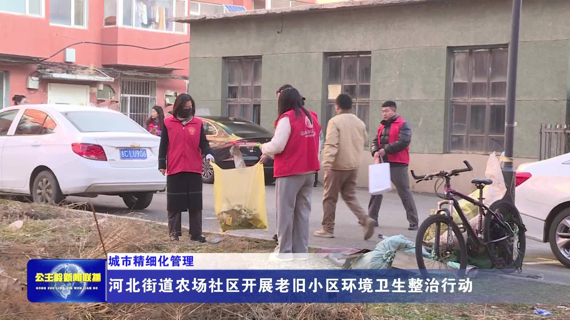 【城市精细化管理】河北街道农场社区开展老旧小区环境卫生整治行动