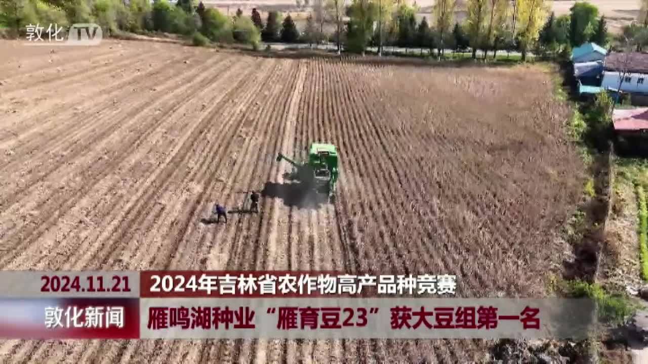 2024年吉林省农作物高产品种竞赛 雁鸣湖种业“雁育豆23”获大豆组第一名