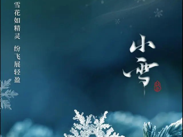 节令之美·小雪｜期待一场落雪吧