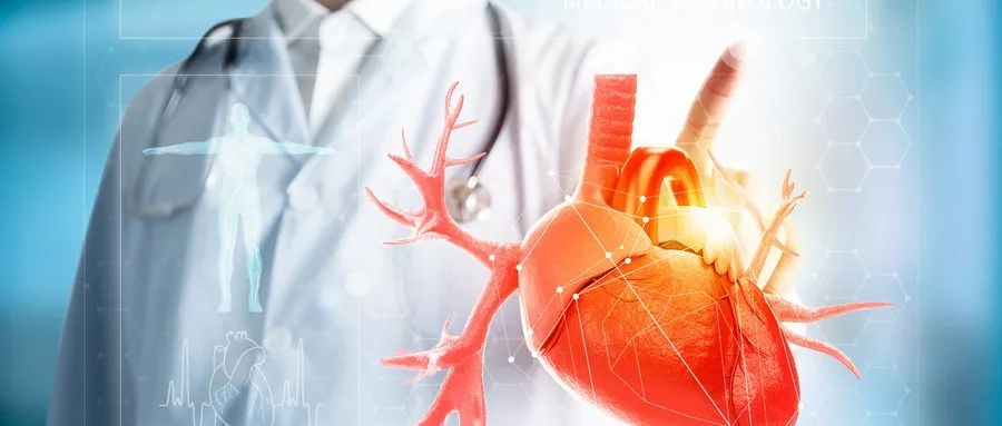 【健康科普】警惕心肌梗死的高危时刻 | 科普时间
