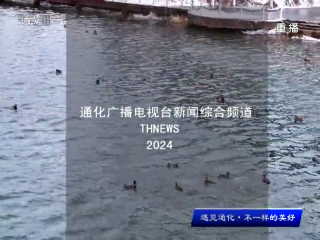 野鸭游弋 增添冬季生机