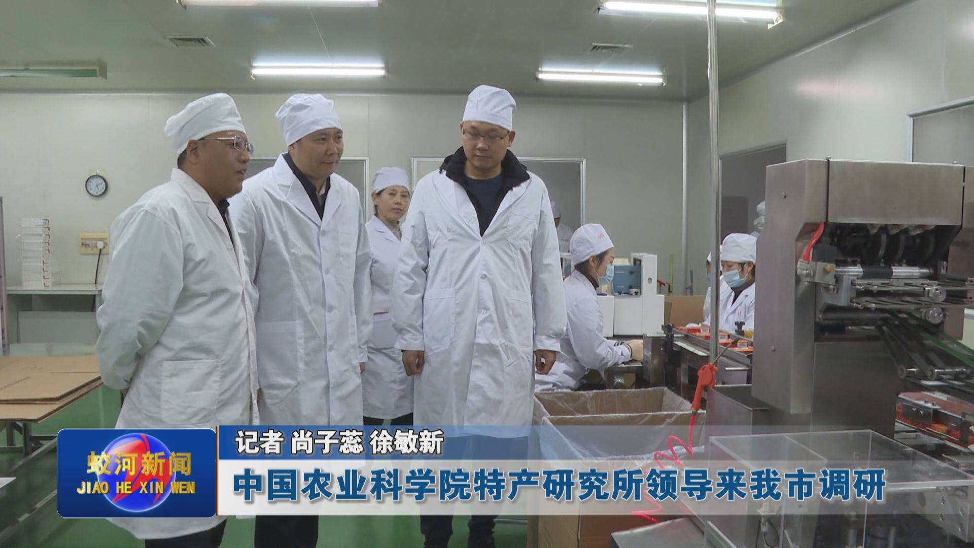 中国农业科学院特产研究所领导来蛟河市调研