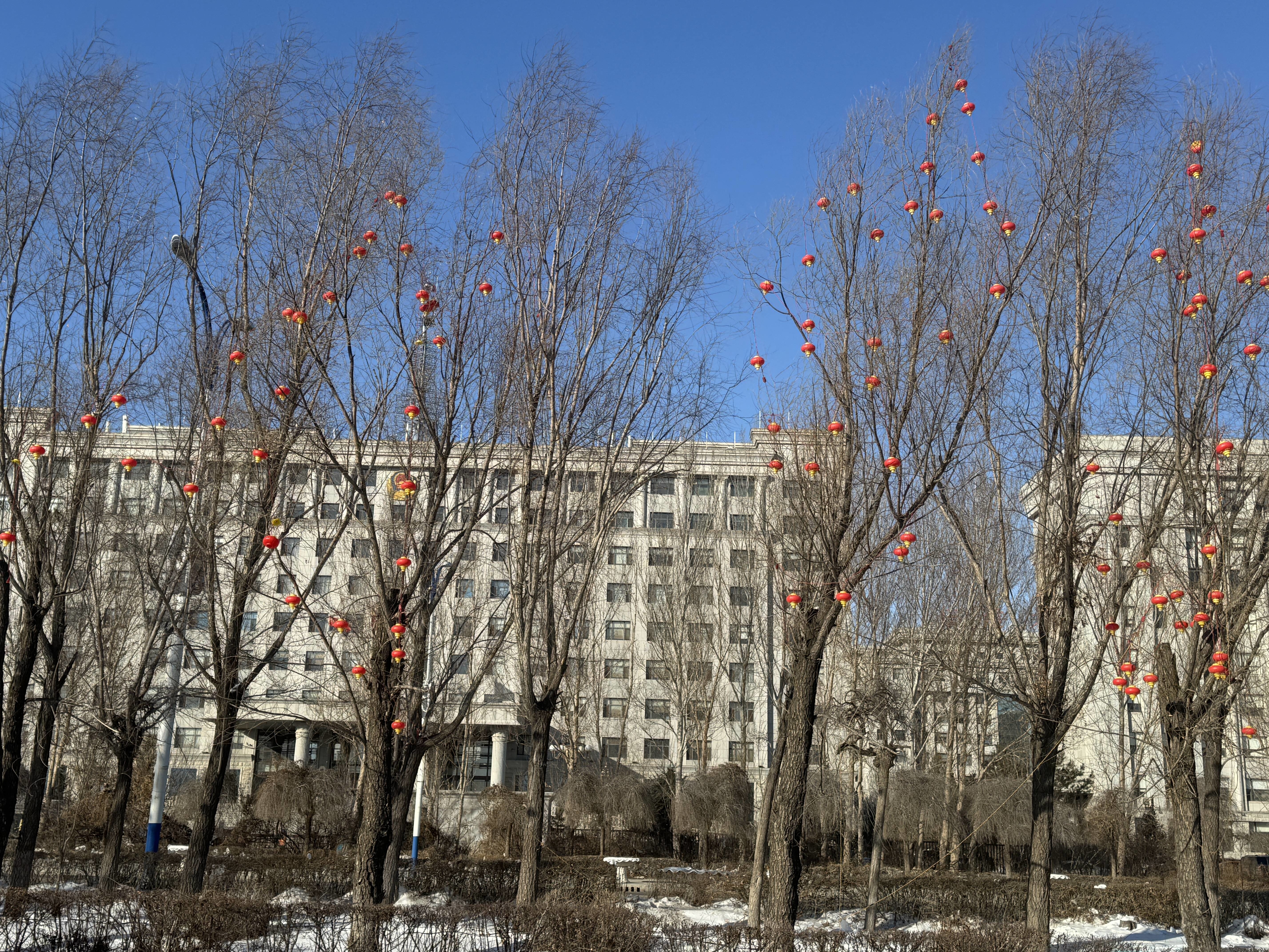 乾安县：打造亮化景观  点靓冬日新景