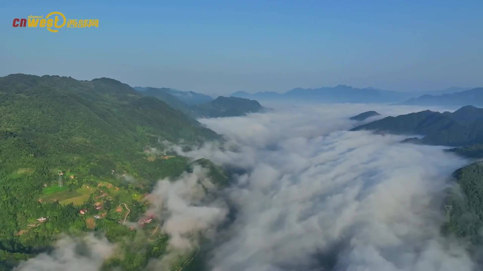 【吉辽陕“三秋”视频展播】美丽陕西丨略阳岩房坝村：云海升腾、云蒸霞蔚