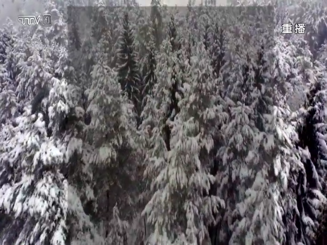 燃情冰雪  魅力之冬