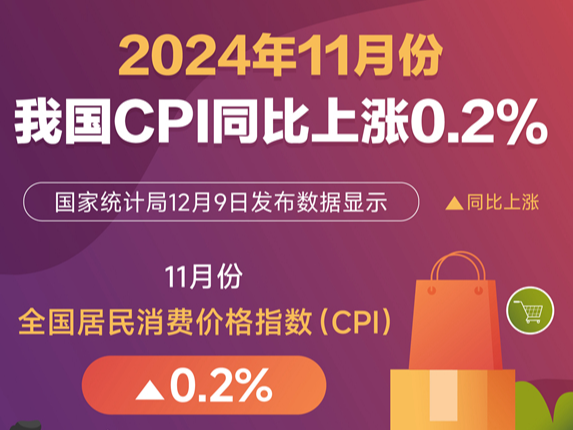 11月份我国CPI同比上涨0.2%