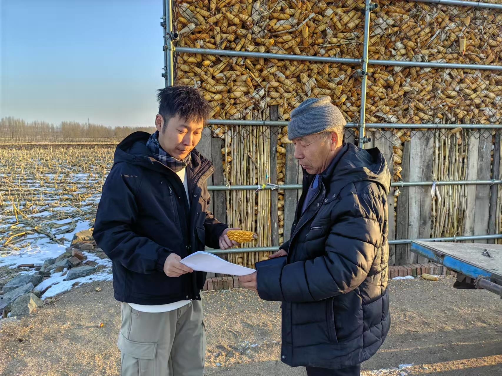 中国人寿伊通支公司推出玉米“保险+期货”产品 助力农户稳收增收