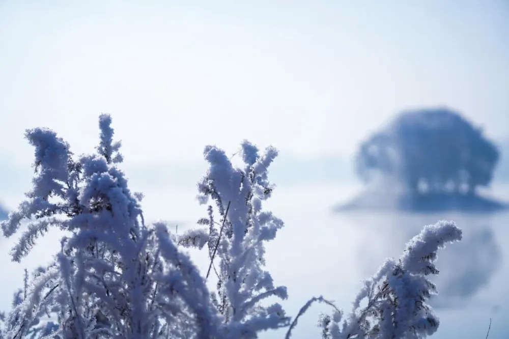 中国冰雪看吉林——雪地冰天的崛起与思考 创新篇（一）：解码吉林冰雪之生态资源禀赋再认识