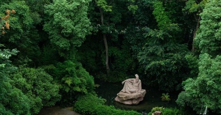 读懂“川菜热”背后的烟火中国