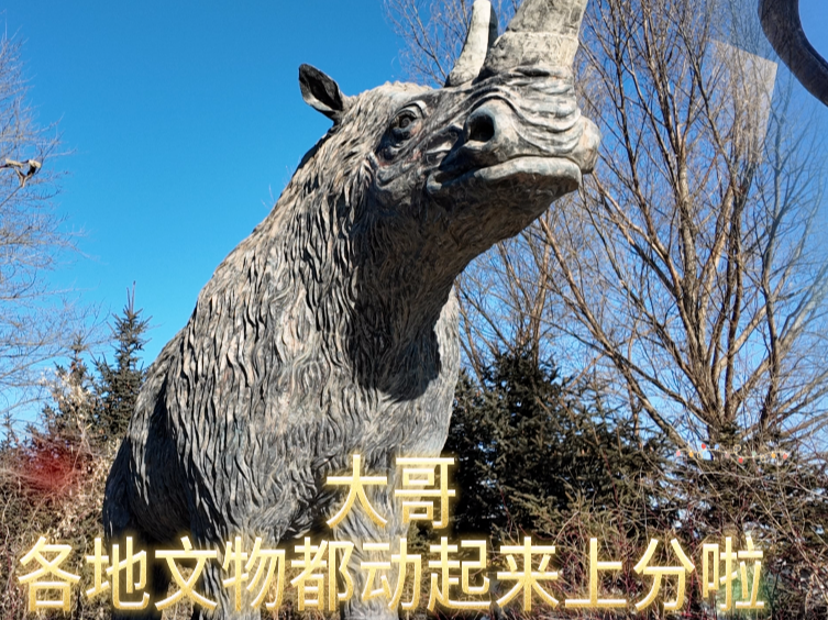 猛犸象大哥领披毛犀老弟带乾安上分儿！