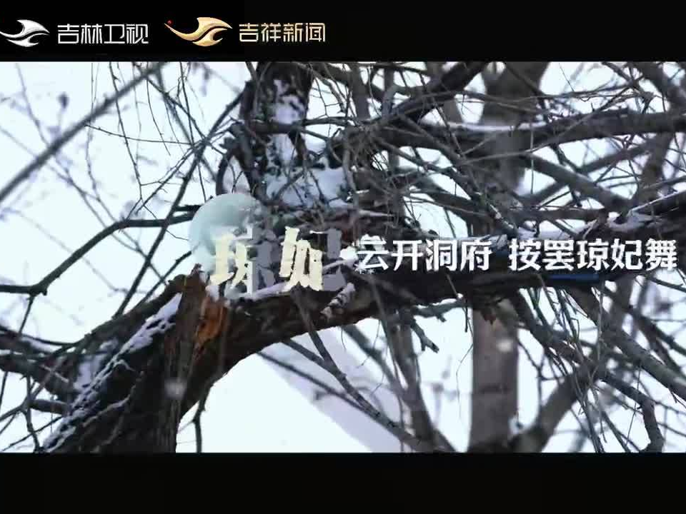 #吉致冰雪激情相约#|穿越时空的雪花：古诗词中雪的雅称竟这么美！