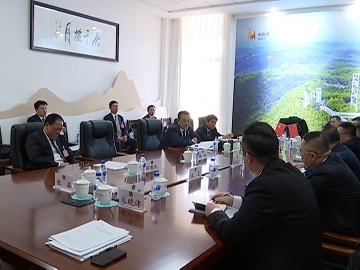 【聚焦两会】张立新等区领导深入各讨论组参加讨论