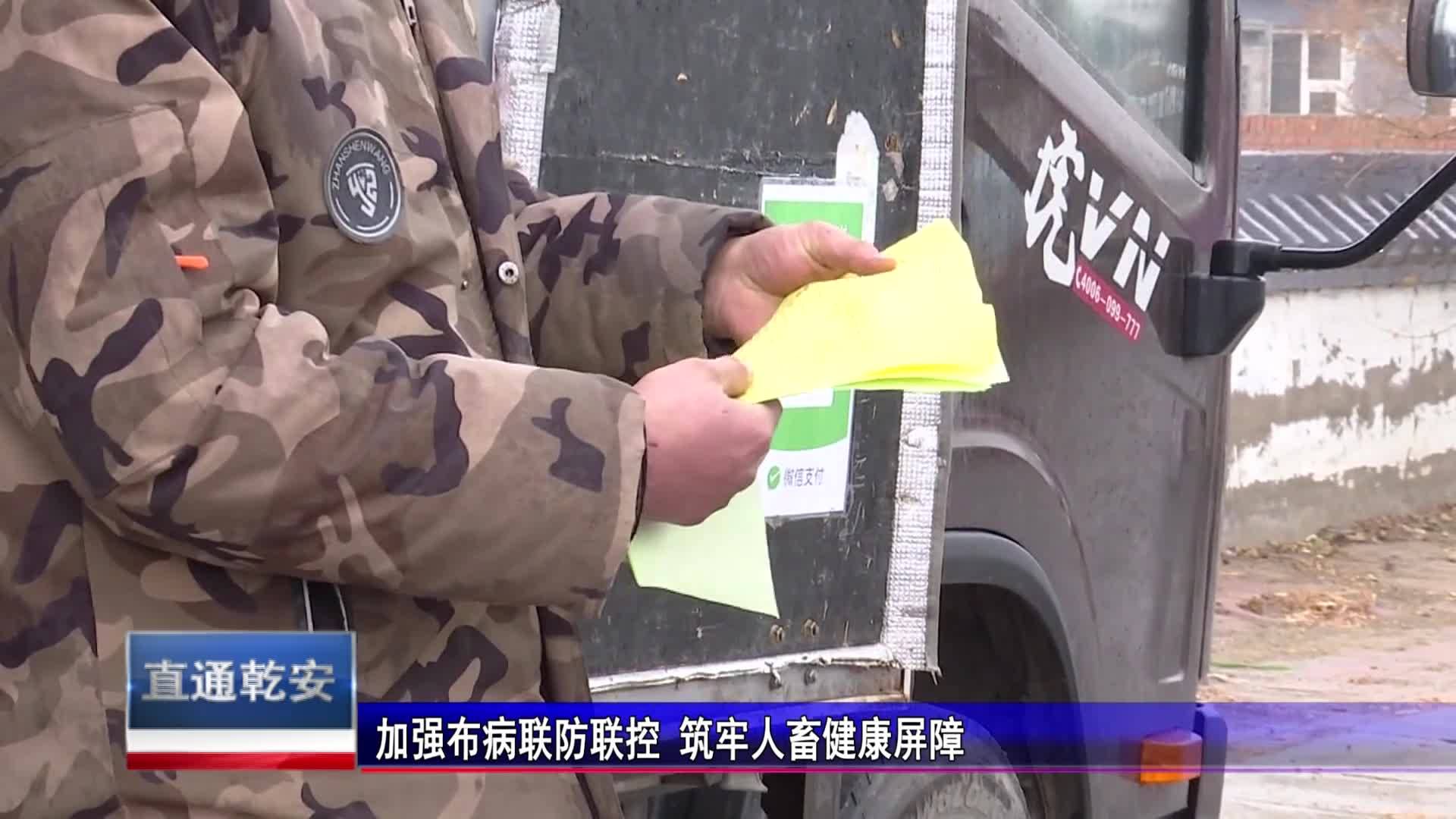 直通县市区2024年12月20日乾安     加强布病联防联控 筑牢人畜健康屏障VA0
