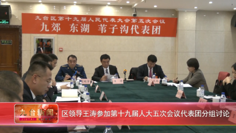 区领导王涛参加第十九届人大五次会议代表团分组讨论