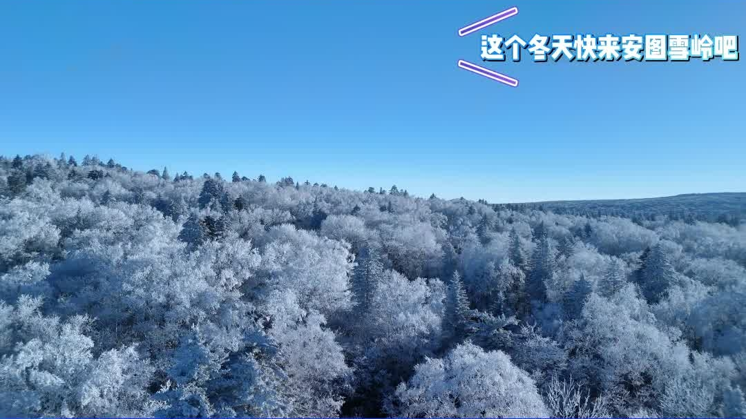 #吉致冰雪激情相约# 吉致冰雪激情相约 走进安图雪岭   #童话世界粉雪仙境老里克# #林海参乡抚松的冬天也很美#